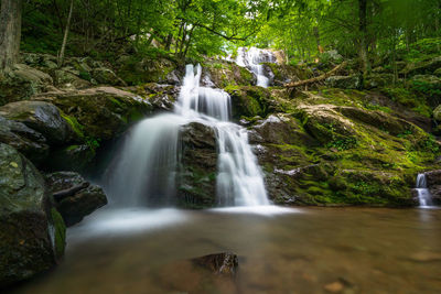 View of waterfall in forest