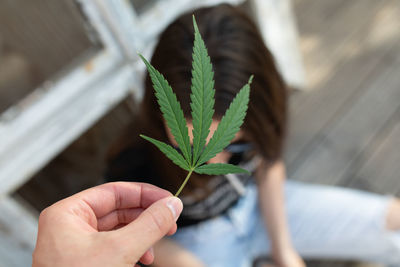 Cropped hand holding leaves by woman with cigarette