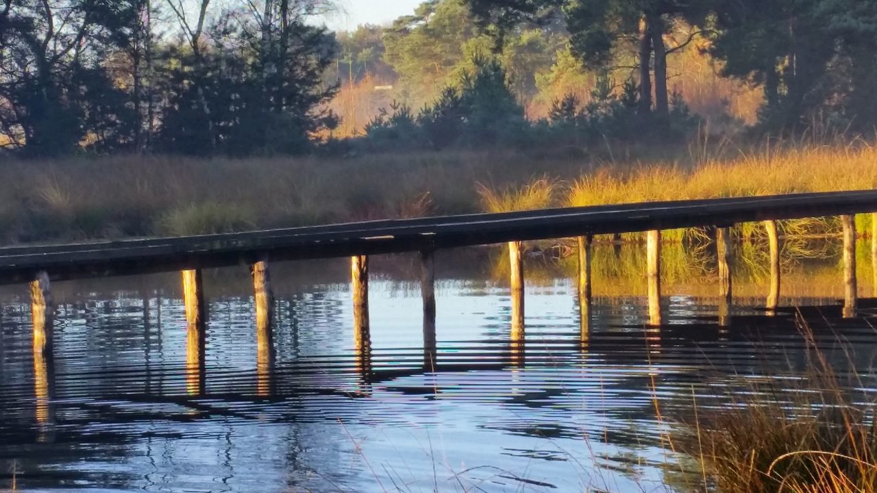 water, reflection, tree, lake, sunset, nature, river, tranquility, tranquil scene, beauty in nature, scenics, waterfront, outdoors, no people, sky, idyllic, growth, railing, built structure, wet