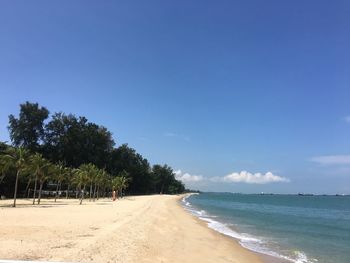 Scenic view of beach against blue sky