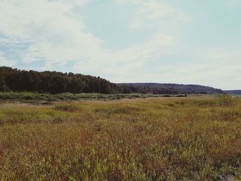 Scenic view of landscape against sky