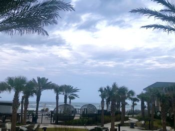 Palm trees by sea against sky