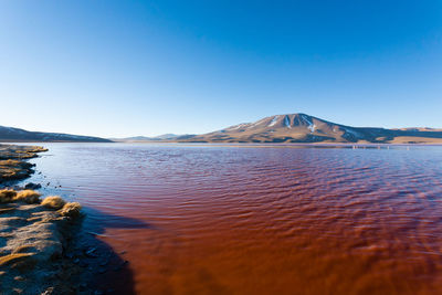 Scenic view of lake against clear blue sky