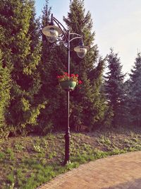 Street light by trees in park