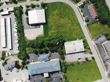 High angle view of trees and buildings in city