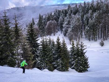 Skier on the slope