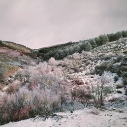 Scenic view of snow covered land against sky