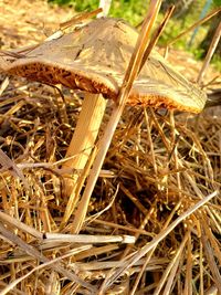 Close-up of hay bales on field