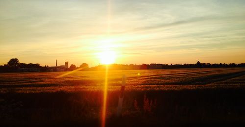 Scenic view of field against sky during sunset