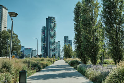 Street amidst trees against sky