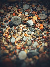 Close-up of stones