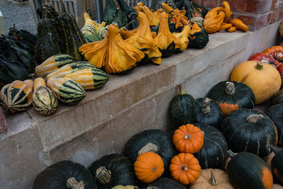 High angle view of squashes at tyntesfield