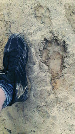 Low section of woman standing on ground