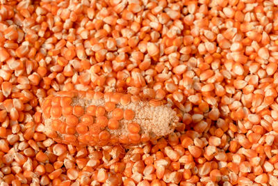 Close-up of roasted coffee beans