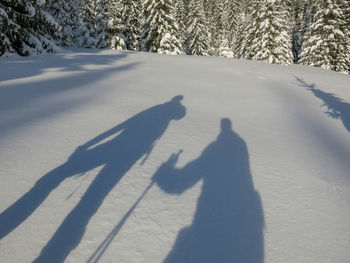 Shadow of people on snow covered land