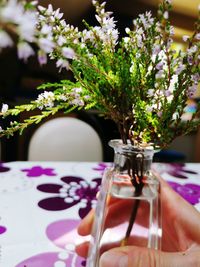 Close-up of purple flower vase on table