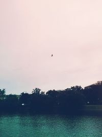 Silhouette bird flying over lake against sky during sunset