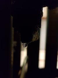 Close-up of water drop from faucet