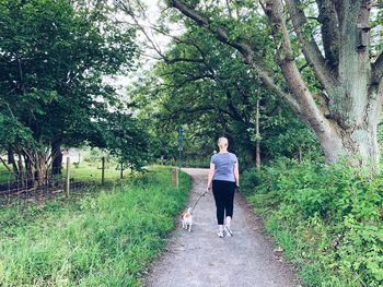 Rear view of woman walking with dog on plants