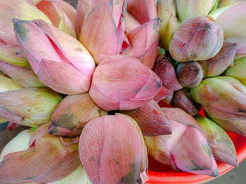 Full frame shot of pink flowers for sale