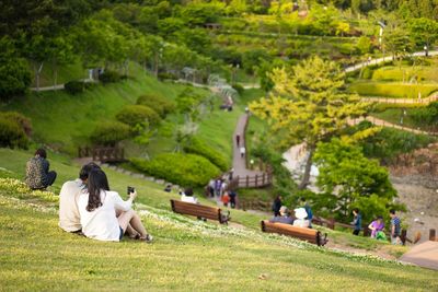 Scenic view of grassy field