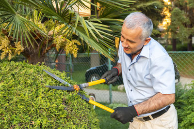 Mature gardener using scissors for trimming the branches. concept of garden decoration