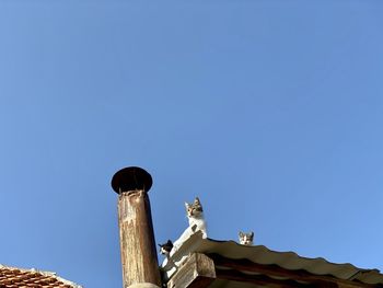 Low angle view of building against blue sky