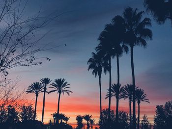 Silhouette palm trees against sky at sunset