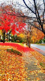 Trees by autumn against sky