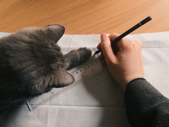 Cropped image of tailor marking on fabric with cat on table