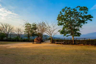 Trees on field against sky