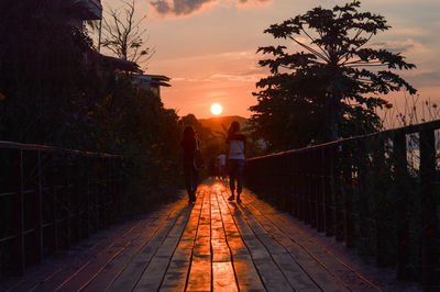 People on footpath by trees against sky during sunset