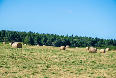 Hay bales on field against sky