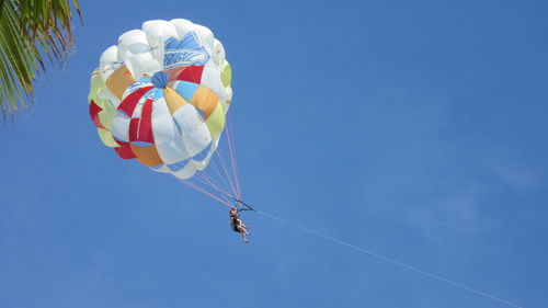 Low angle view of parachute