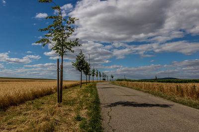 Road by trees on field against sky