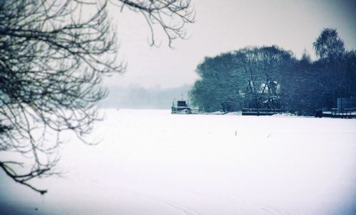 Snow covered bare trees against sky