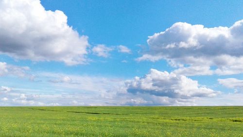 Scenic view of agricultural field against sky