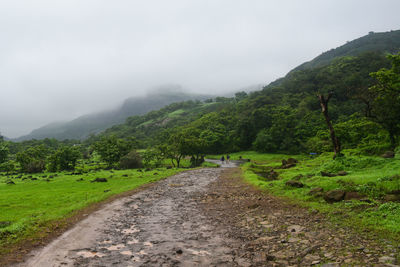 Road amidst trees and mountains against sky