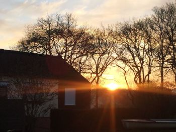 Silhouette trees against sky during sunset