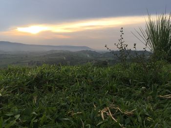 Scenic view of field against sky during sunset