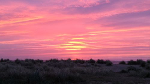 Scenic view of landscape at sunset