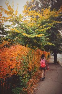 Rear view of woman standing in park