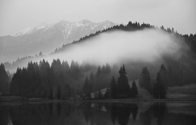 Scenic view of lake and trees against sky