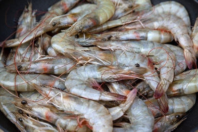 Close-up of shrimps on container at fish market