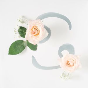 Close-up of rose bouquet against white background
