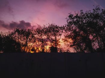 Silhouette trees against sky during sunset