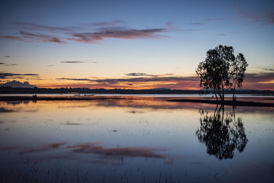 reflection