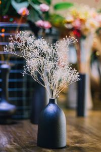 Close-up of potted plant on table