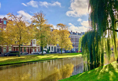 Trees by river in park against sky in city