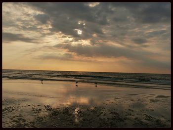 Scenic view of sea at sunset